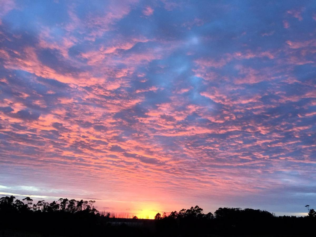 Puriridale B & B Kerikeri Kültér fotó